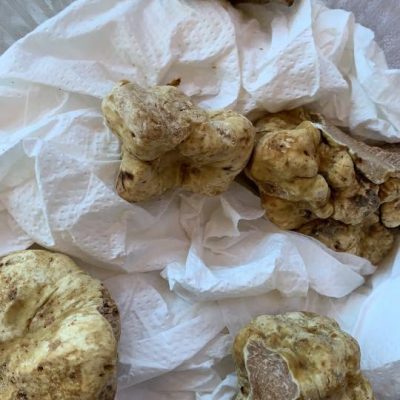 truffes-couleur-blanches